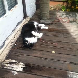 Meet your Posher, Janelle